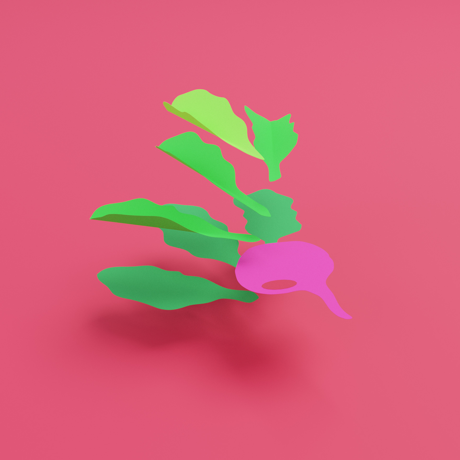 Beet_Render